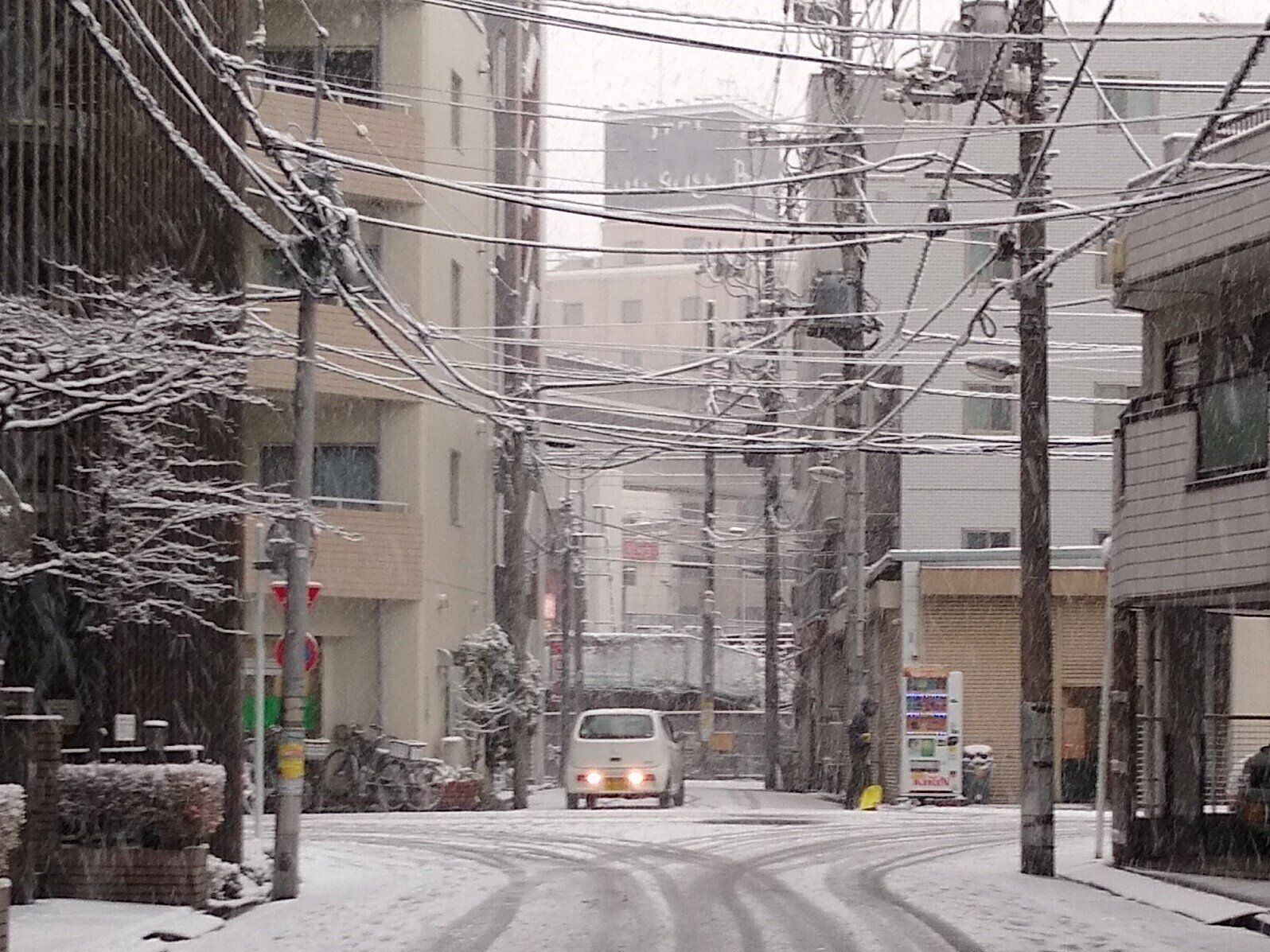 東京と名古屋はどちらが雪が多い？意外と雪が降るワケを気象予報士が解説！