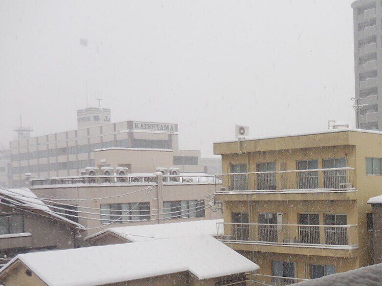 「粉雪」、「ぼた雪」、「わた雪」…なぜこんなに種類があるの⁉雪に違いが出るしくみと防災ポイントを気象予報士が解説