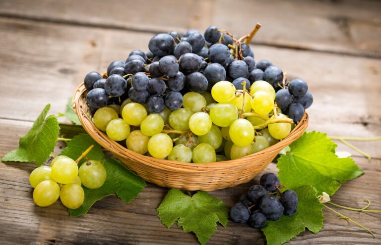 ぶどうを食べ過ぎるとどうなる？優れたエネルギー源だけど、食べるときは気をつけたほうがいい点も