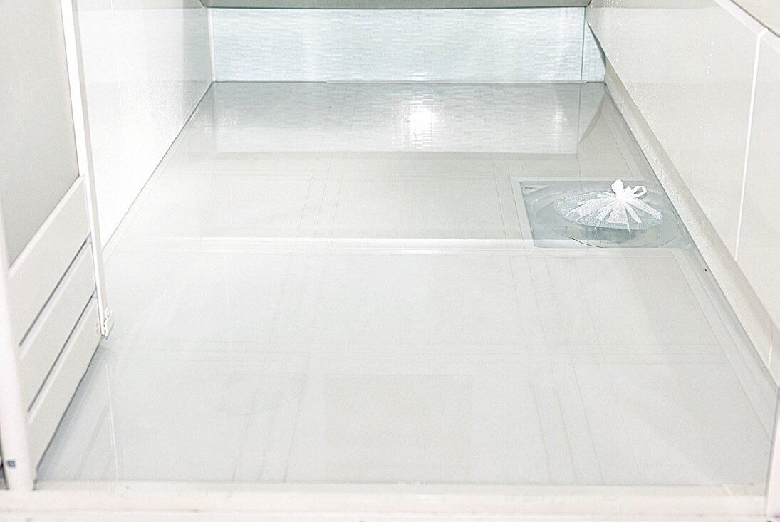 【浴室掃除】床のピンク汚れもゴムパッキンのカビも落としたい！茂木和哉さんが伝授する裏ワザ