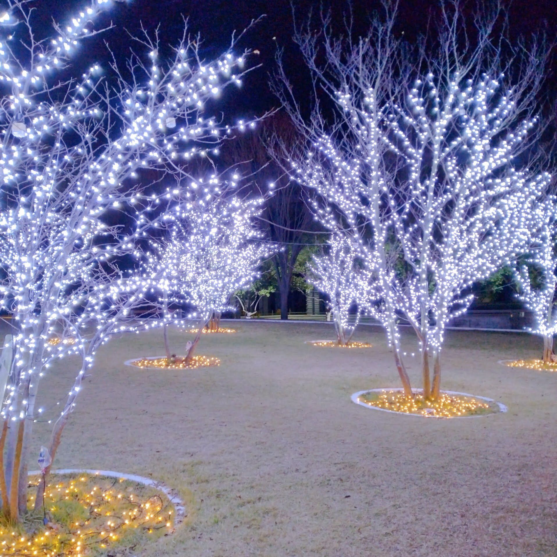 年間貯蓄320万円！貯金力がUPする3つの｢考え方｣