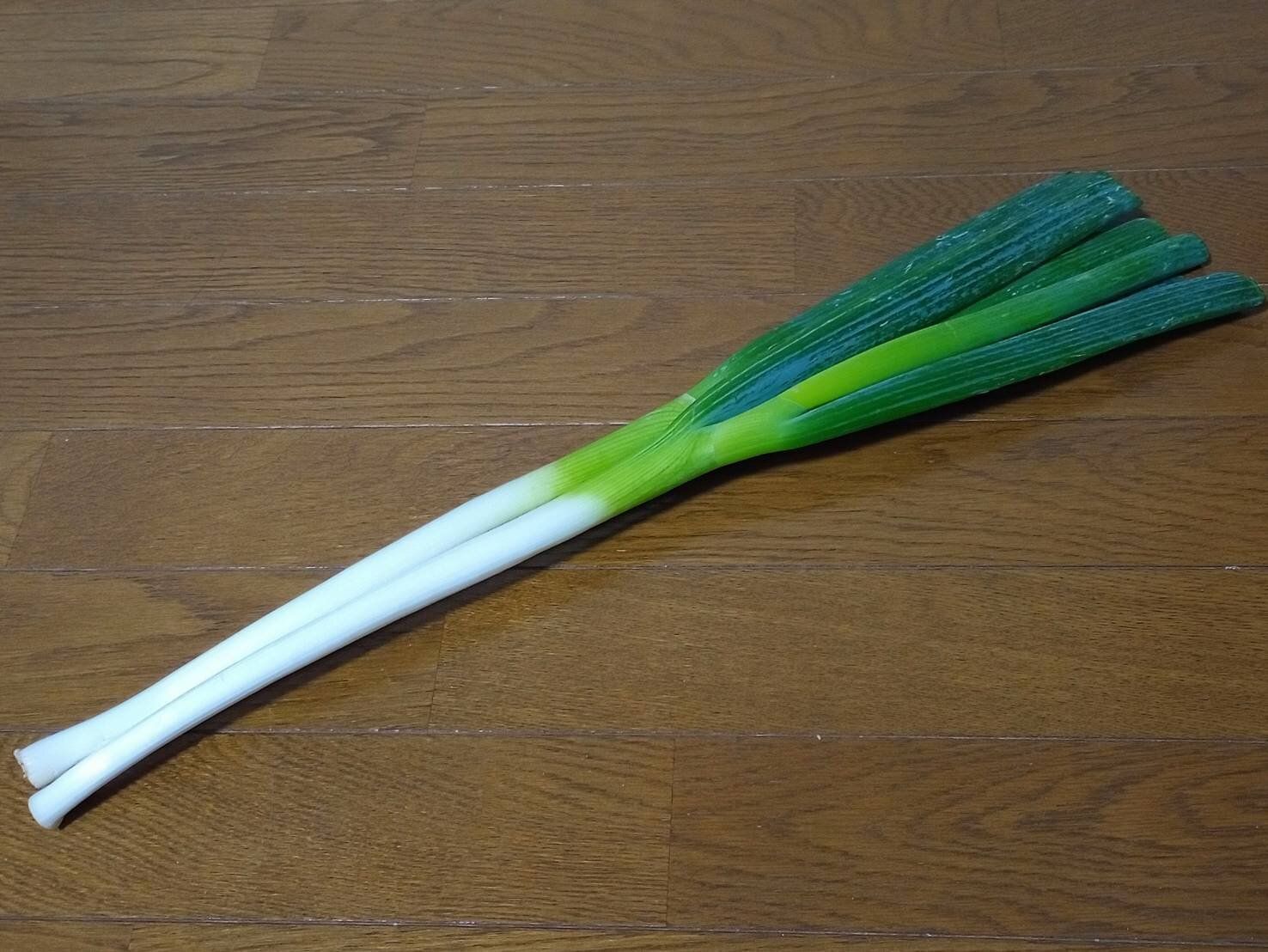 【旬食材】甘い長ネギは「メリハリ」に注目！失敗せず選ぶコツを野菜ソムリエが解説