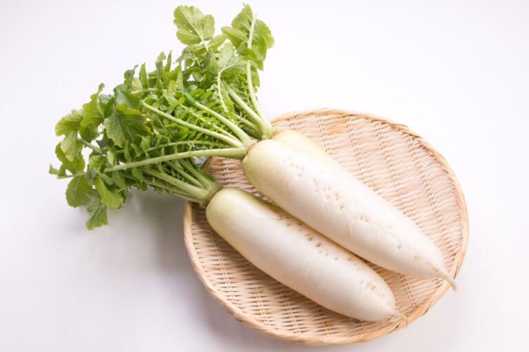 【旬食材】カット大根は上下どっちを選ぶのが正解？おいしい大根の見分けかたを野菜ソムリエが解説