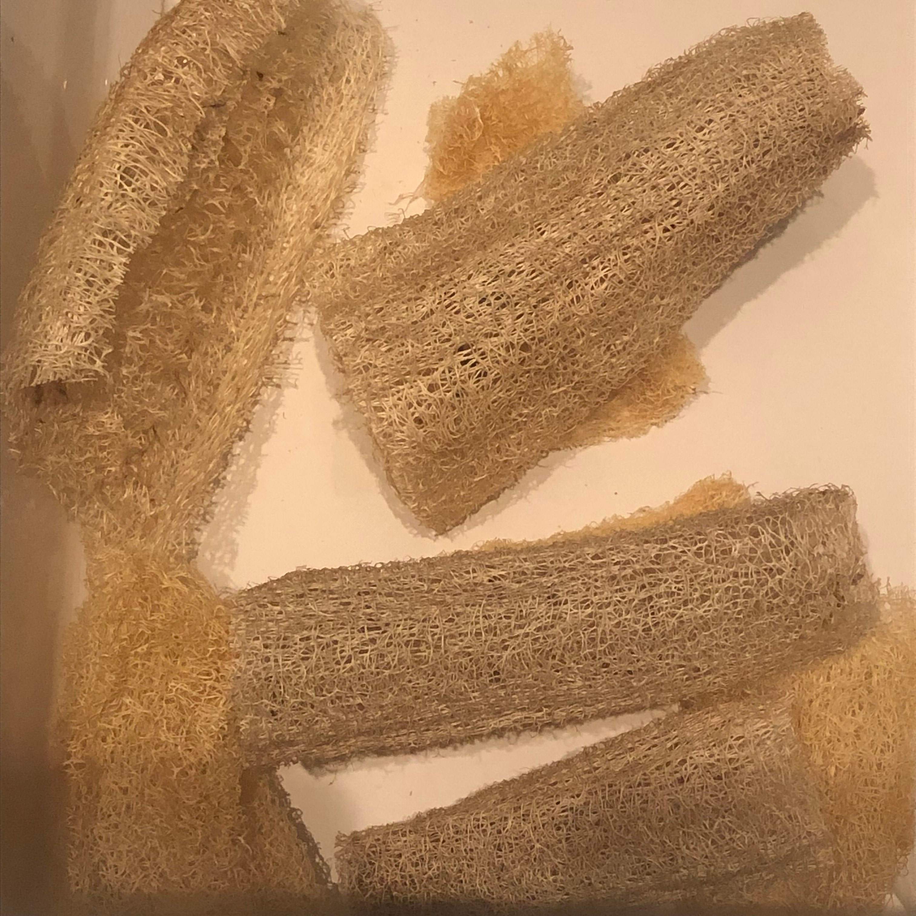 食器洗いスポンジは自然素材のものを選ぶのが自分にもやさしい選択