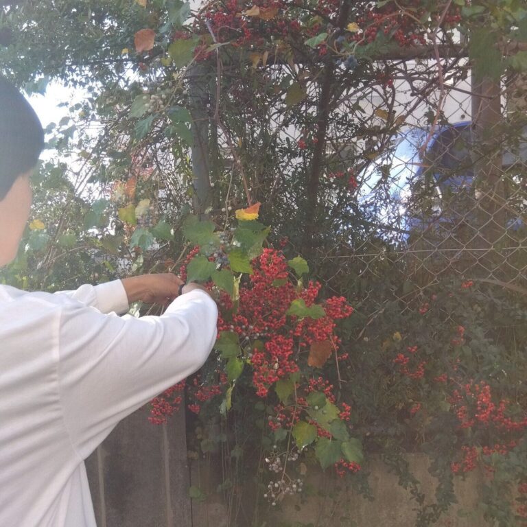 【海保式節約】何かの出費が増えたら、何かの出費を減らせないか探してみる