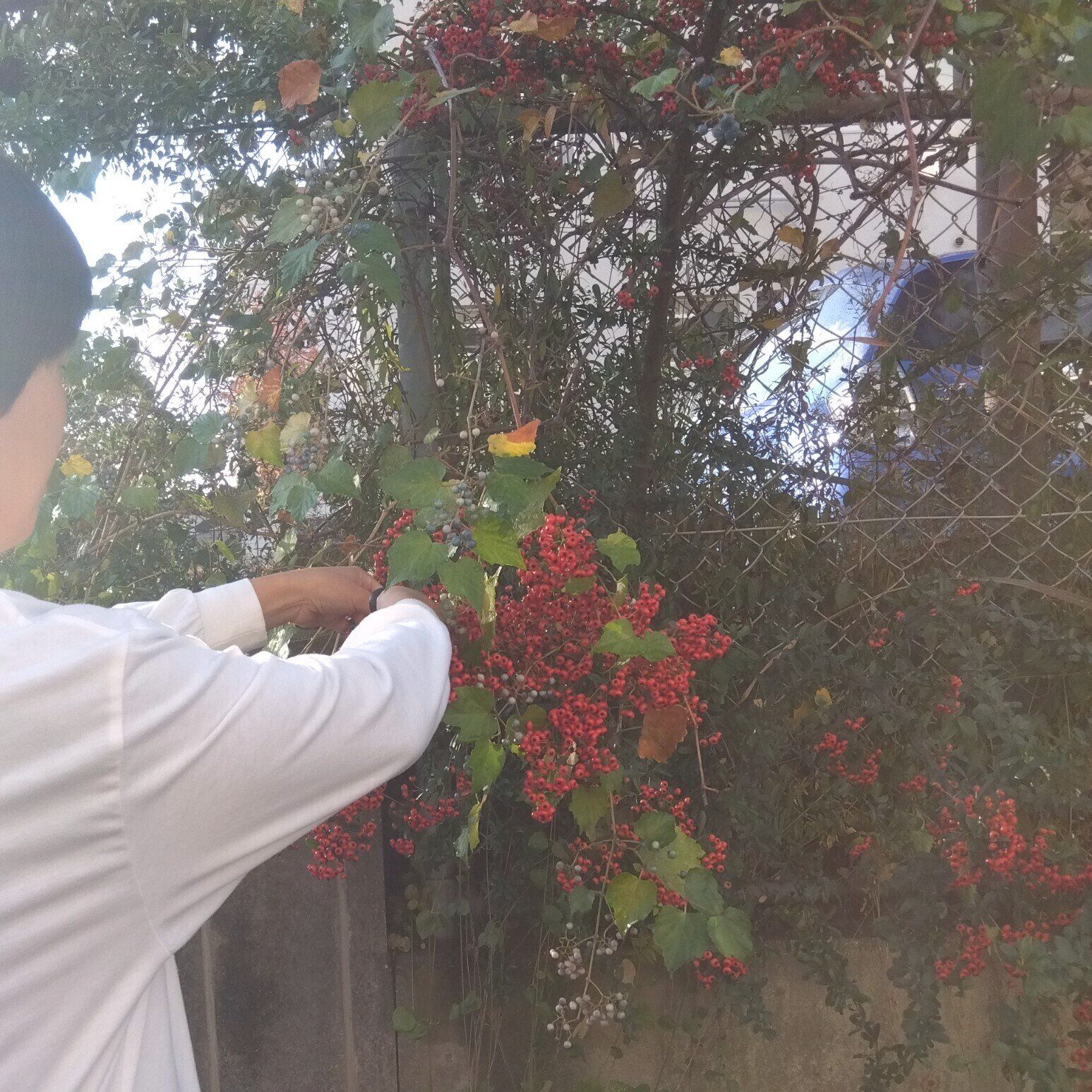 【海保式節約】何かの出費が増えたら、何かの出費を減らせないか探してみる