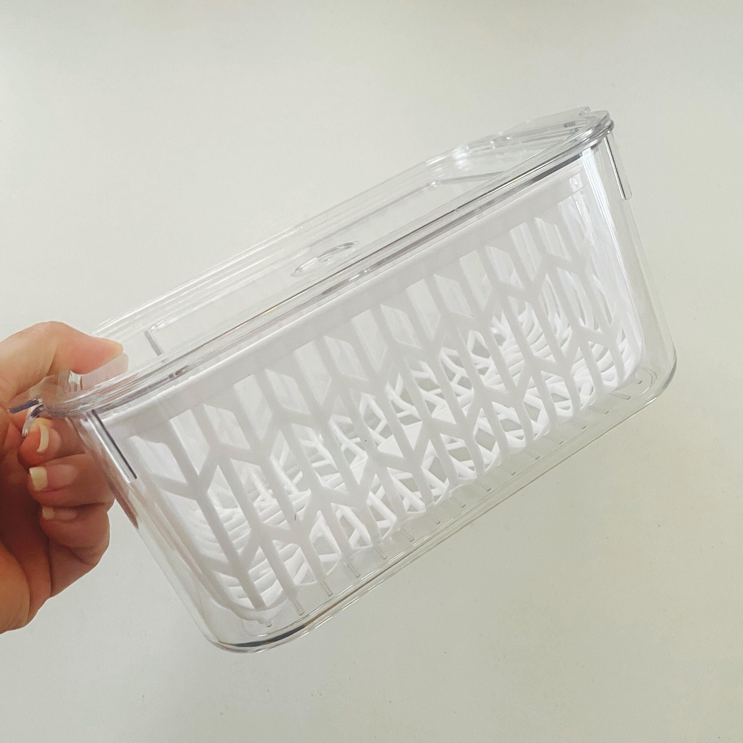 とうとう出た！【ダイソー】中身が見やすく水切りもできる冷蔵庫容器