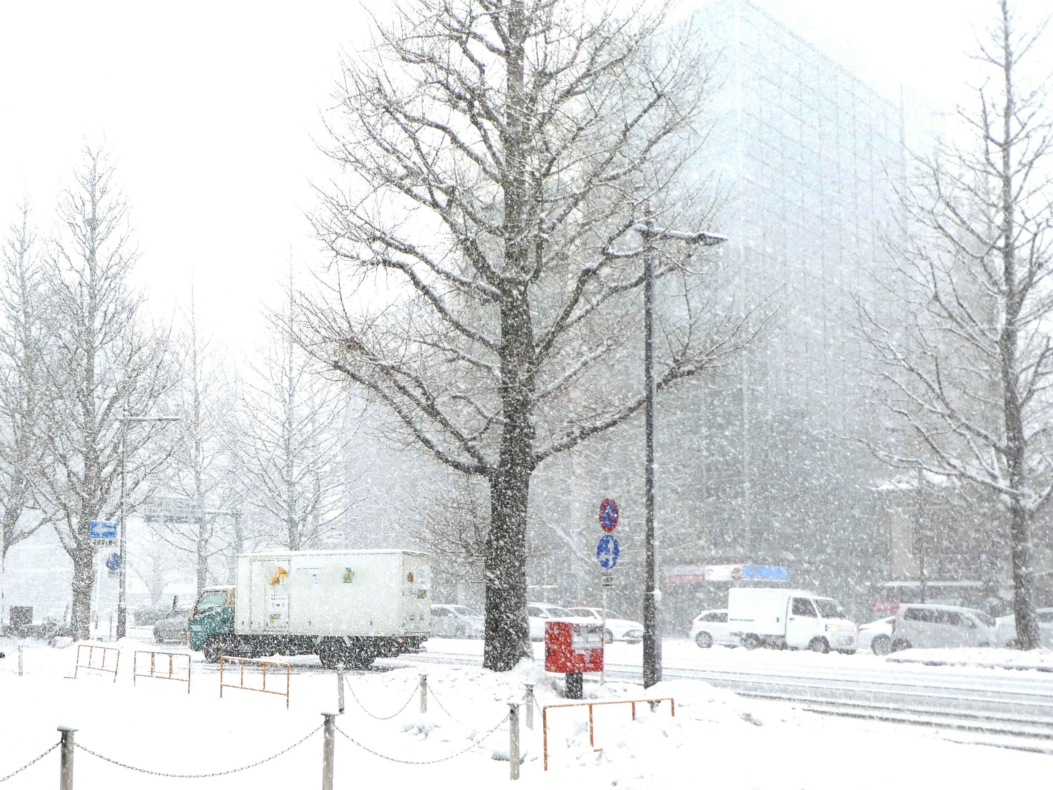 「冬将軍」はもともと「冬」の将軍ではない!?注意すべき時期と対策のコツを気象予報士が解説！