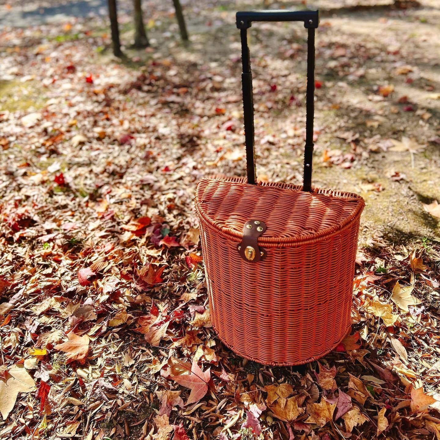 SNSで話題！【3COINS】「しっかりしている」「気になっていた」今買うべきアイテム3選