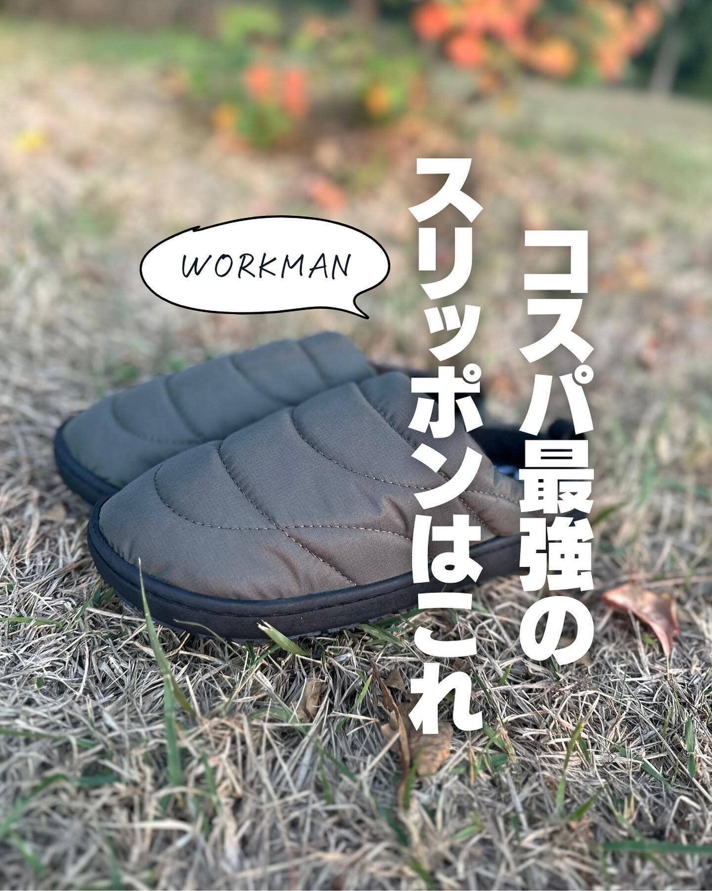 買わなきゃ損【ワークマン】「コスパ最強」「結露なしで感動」すぐ買いたい2選