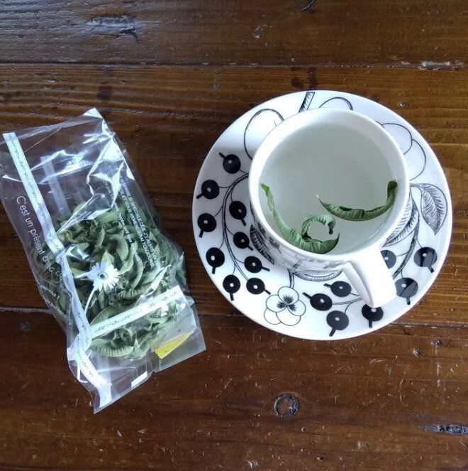 【総資産4,200万円】夫の年収548万円のうち年間300万円以上を貯める人の「自分らしいお金の使い方」