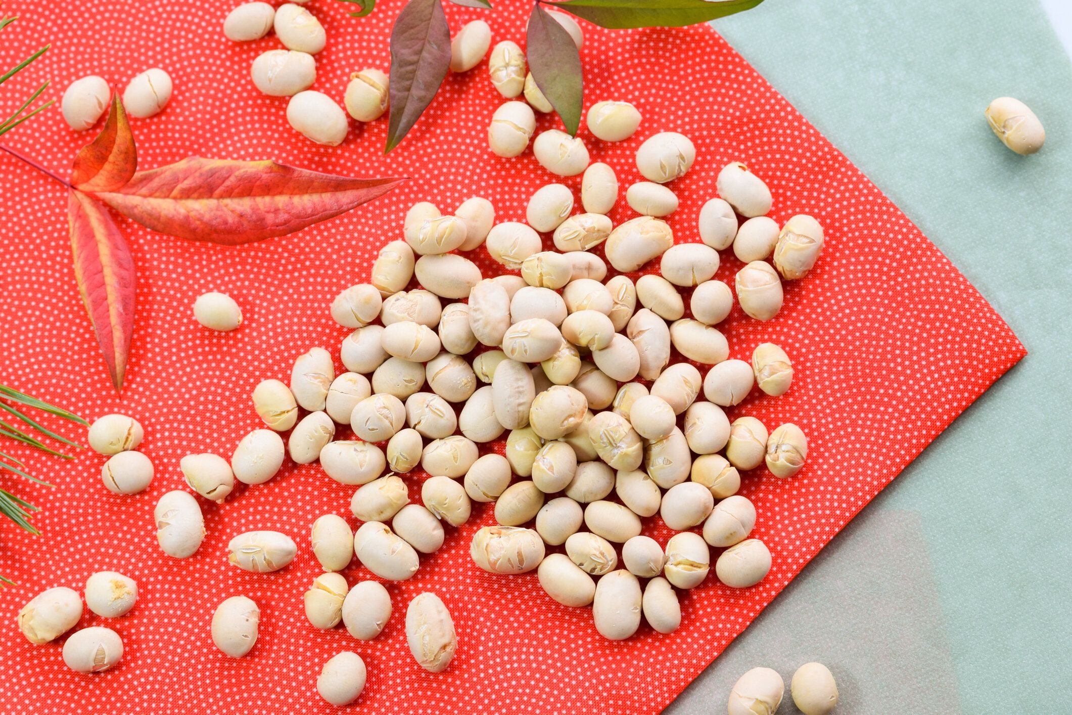 投げるだけじゃもったいない！大豆は栄養たっぷり♪豆が主役の簡単レシピ3選