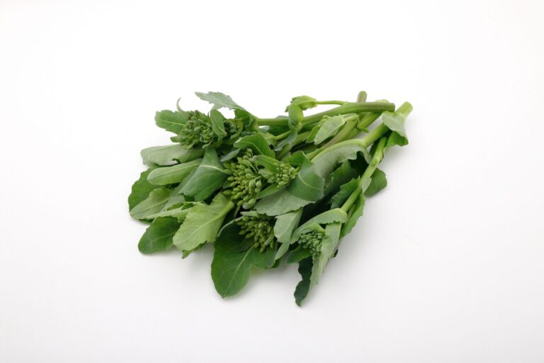 やらなきゃもったいない！旬の「菜の花」と相性抜群な食材で一石二鳥の簡単メインを野菜ソムリエが解説
