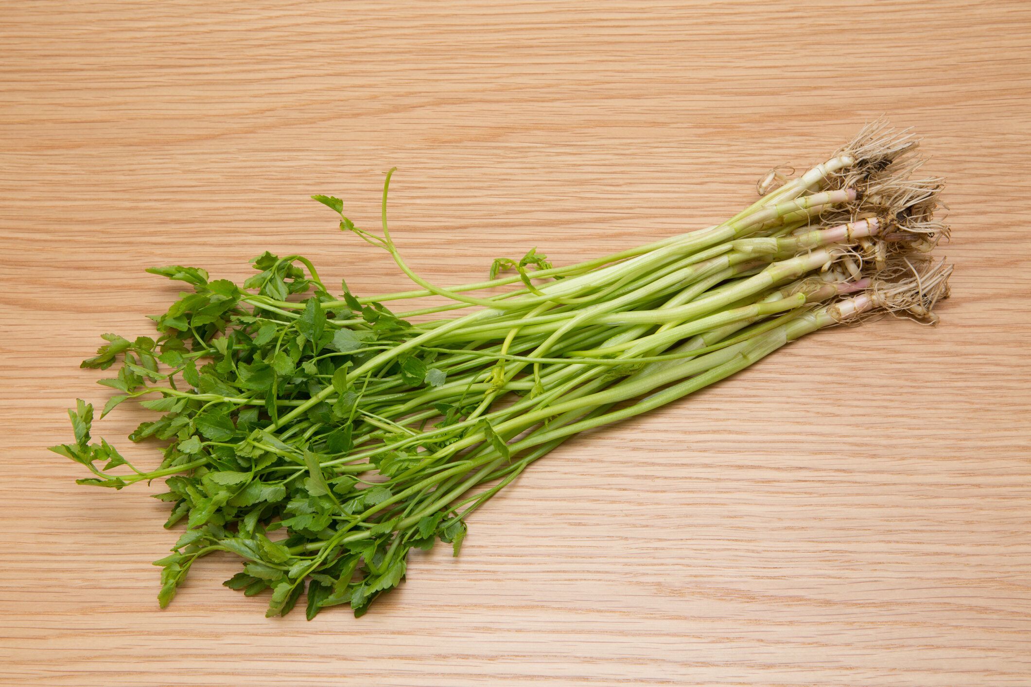 【旬食材】正月だけじゃもったいない！栄養満点なセリの選びかたを野菜ソムリエが解説