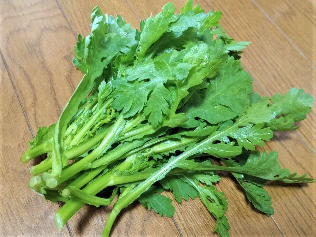 【旬食材】春菊は葉が大きいのと小さいのどちらを選ぶ？ハズレを引かないコツを野菜ソムリエが解説