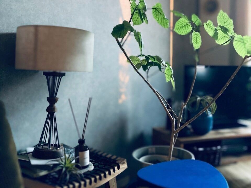 【中古マンション】低予算で自分好みにリフォームするコツ・５選