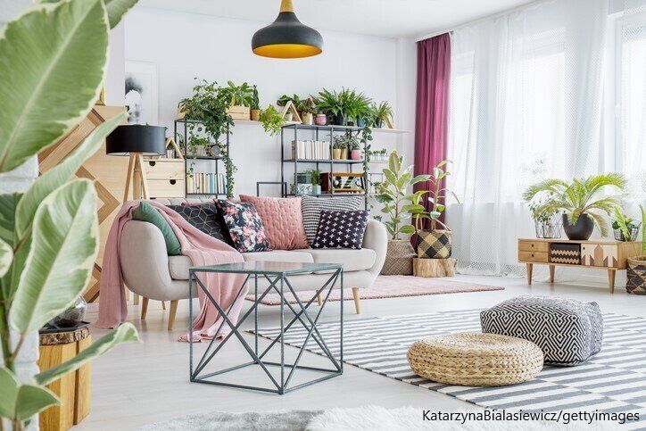 【観葉植物】もう枯らさない！インドアグリーンを楽しむ「育て上手の3ステップ」