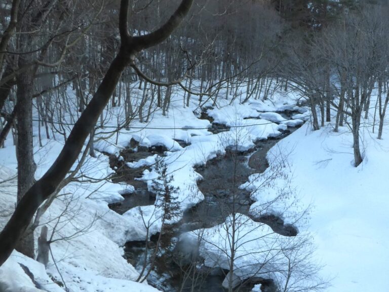 暖冬なのになぜ雪崩に注意？少ない雪でも危険な理由とは??気象予報士解説