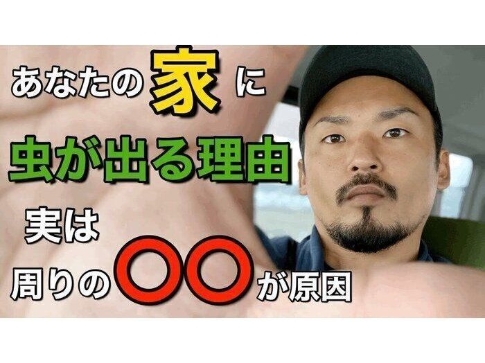 しっかり対策しているのに何故!?家に虫が発生する8つの理由