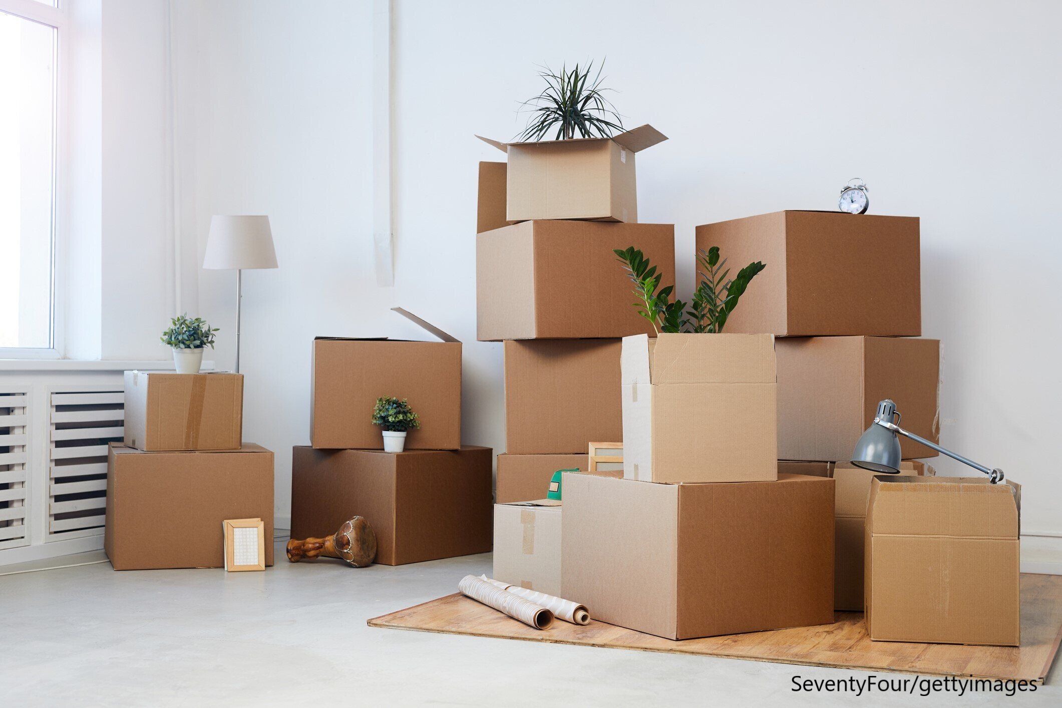 【引越し】転勤族×グリーン好きが知っておきたい「観葉植物の引越しルール」