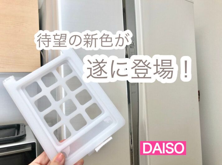 【ダイソー】ずっと販売されるのを待ってました！遂に大人気商品から待望の新色が登場！