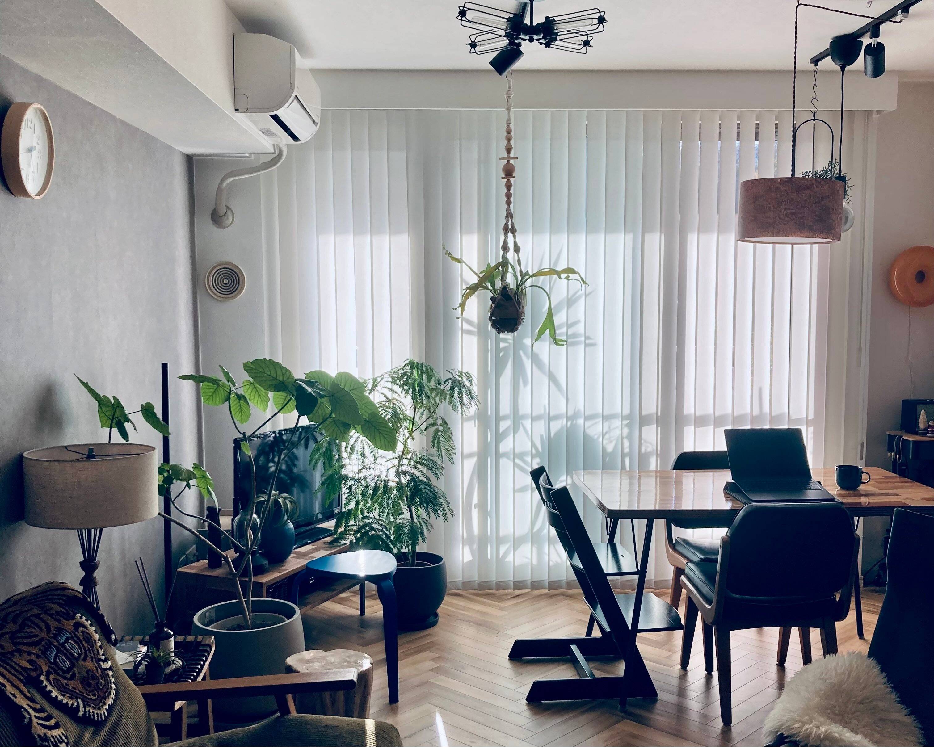 窓まわりは【ニトリ】が最強な理由！4選