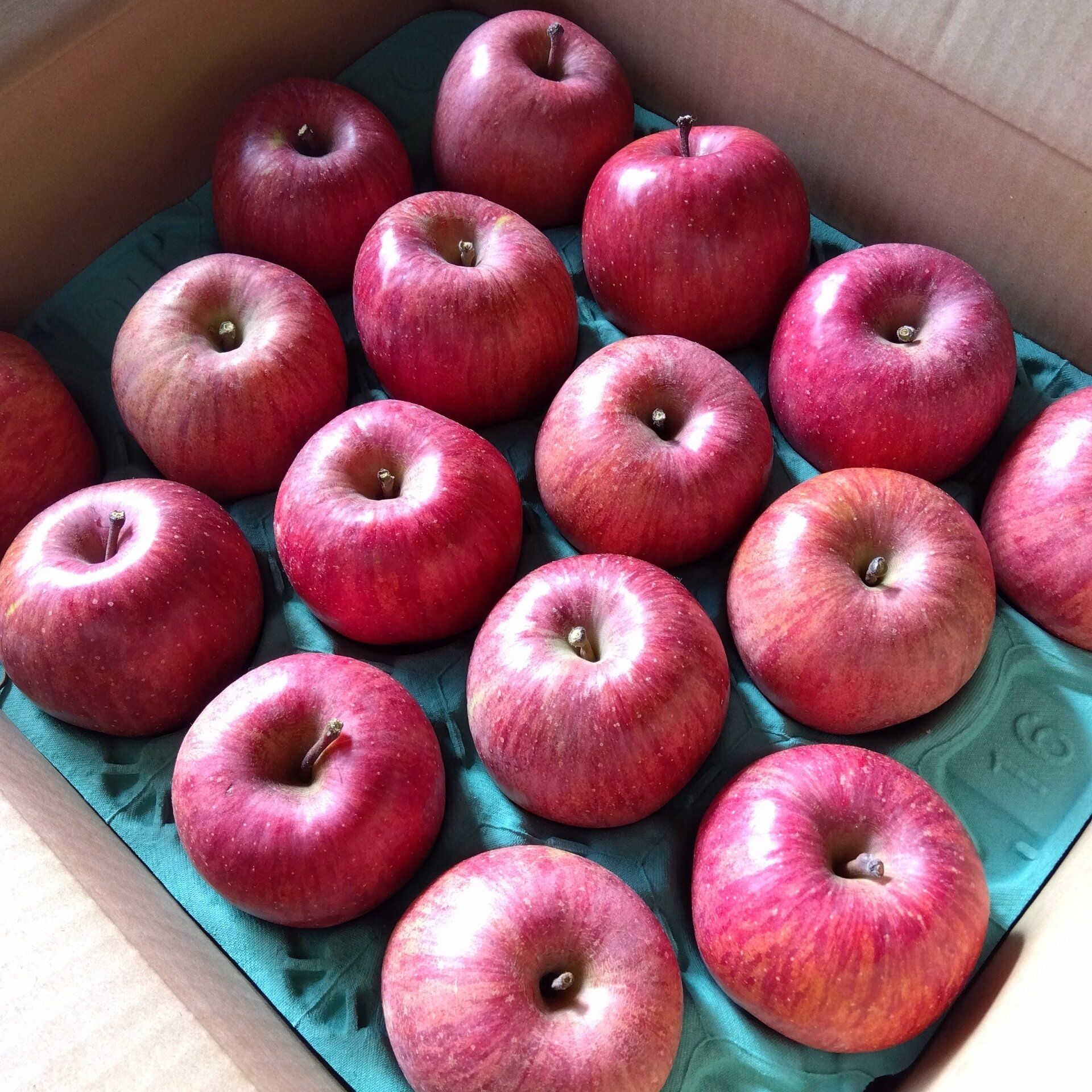 【貯め活中の手土産リスト】わたしも相手も｢ちょっとうれしい｣が選ぶコツ