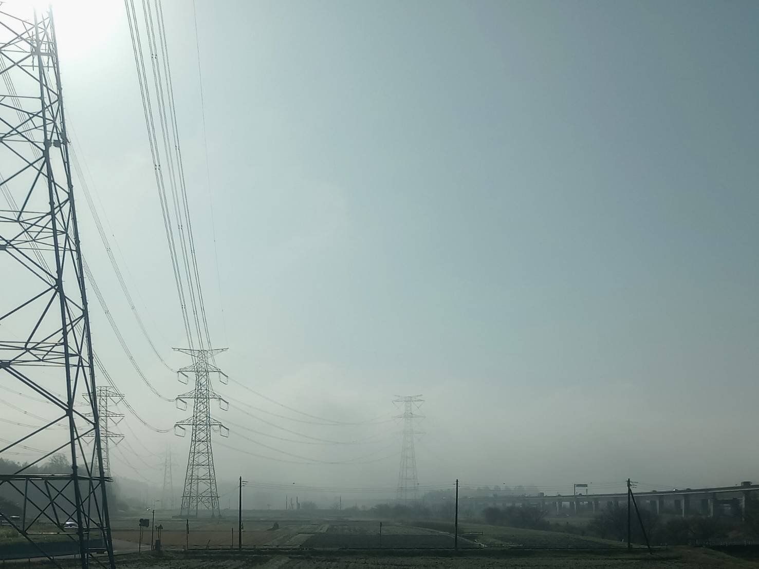 やっかい者は「花粉」だけじゃない！春に向けて気をつけたいモノを気象予報士とチェックしよう