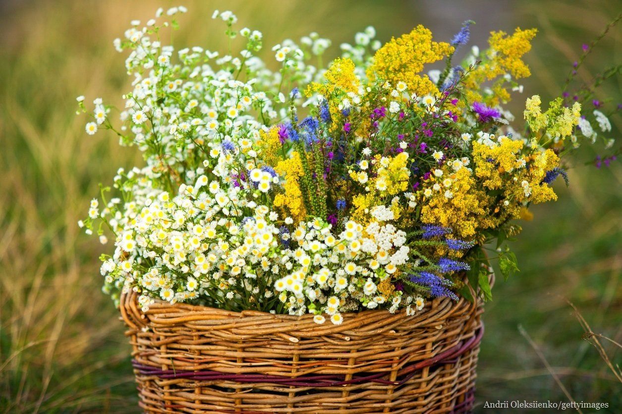 季節によって変わる体の不調、どの季節にも共通した対策とは？