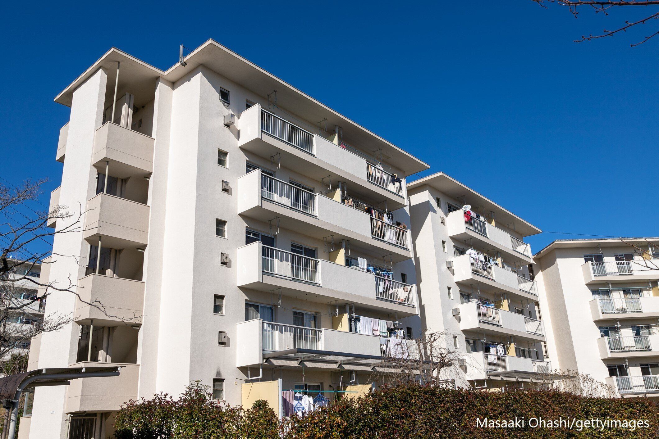 【物件選び】暮らしやすさが魅力！私が築古団地に入居を決めた3つのポイント