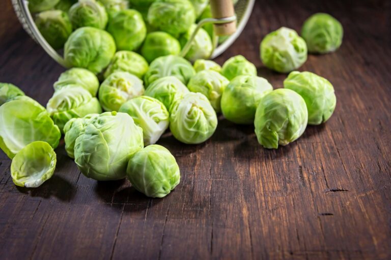 やらなきゃもったいない！シチューより簡単な芽キャベツのクリーム煮を野菜ソムリエが解説