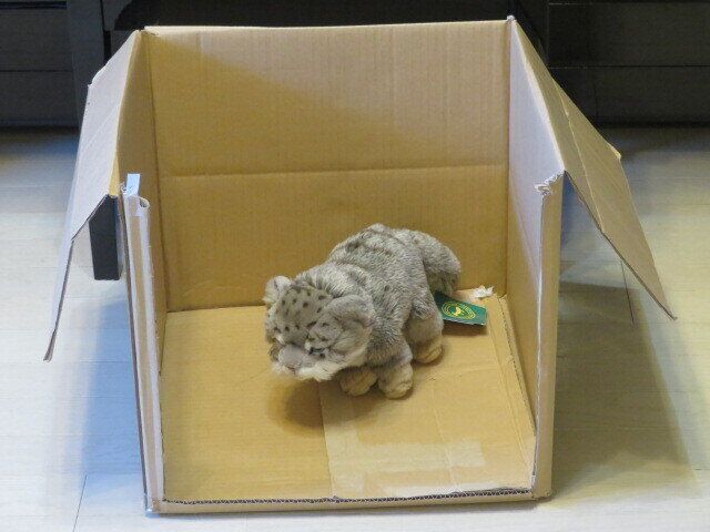 結婚までに引っ越し7回！ヒヤリとした転居の失敗ワースト3