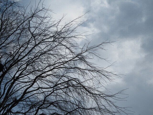 「不謹慎」「偽善者」災害時にあふれる中傷コメントへの考えかた