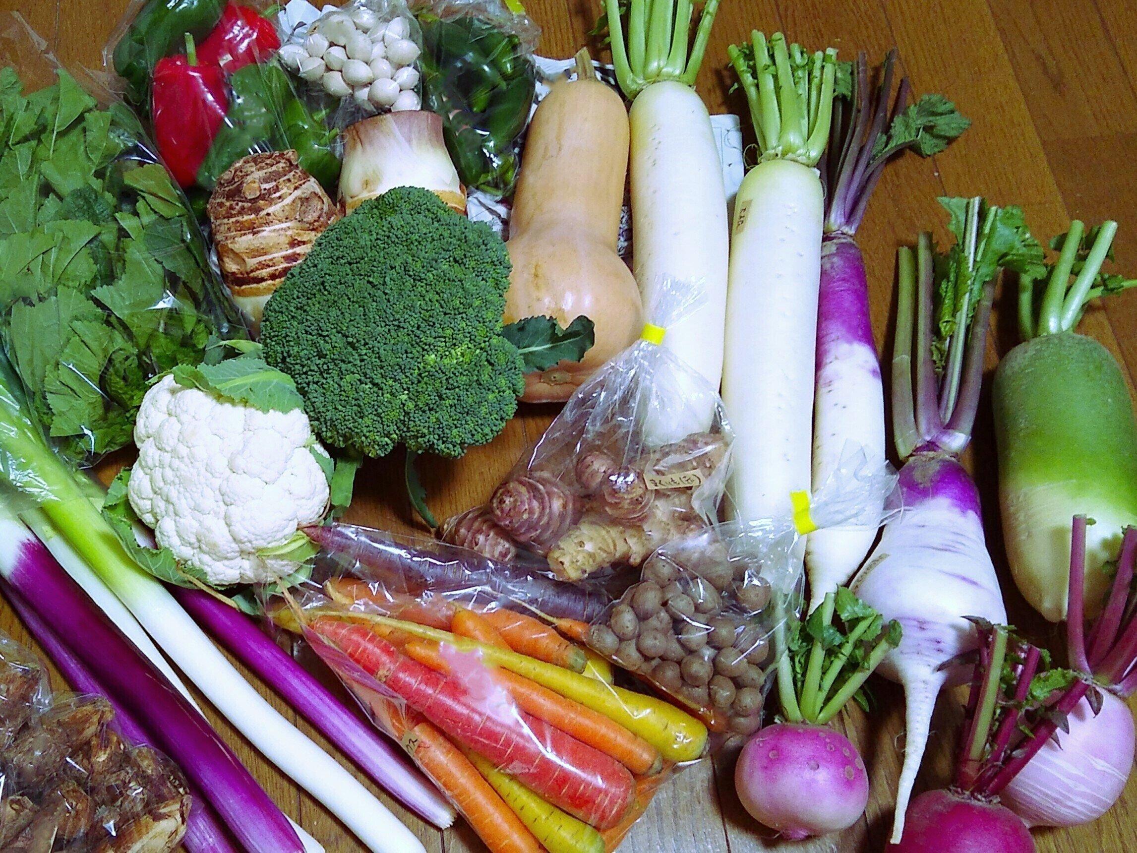 暖冬だと野菜は高くなる？安くなる⁇今お得な野菜を気象予報士・野菜ソムリエが解説