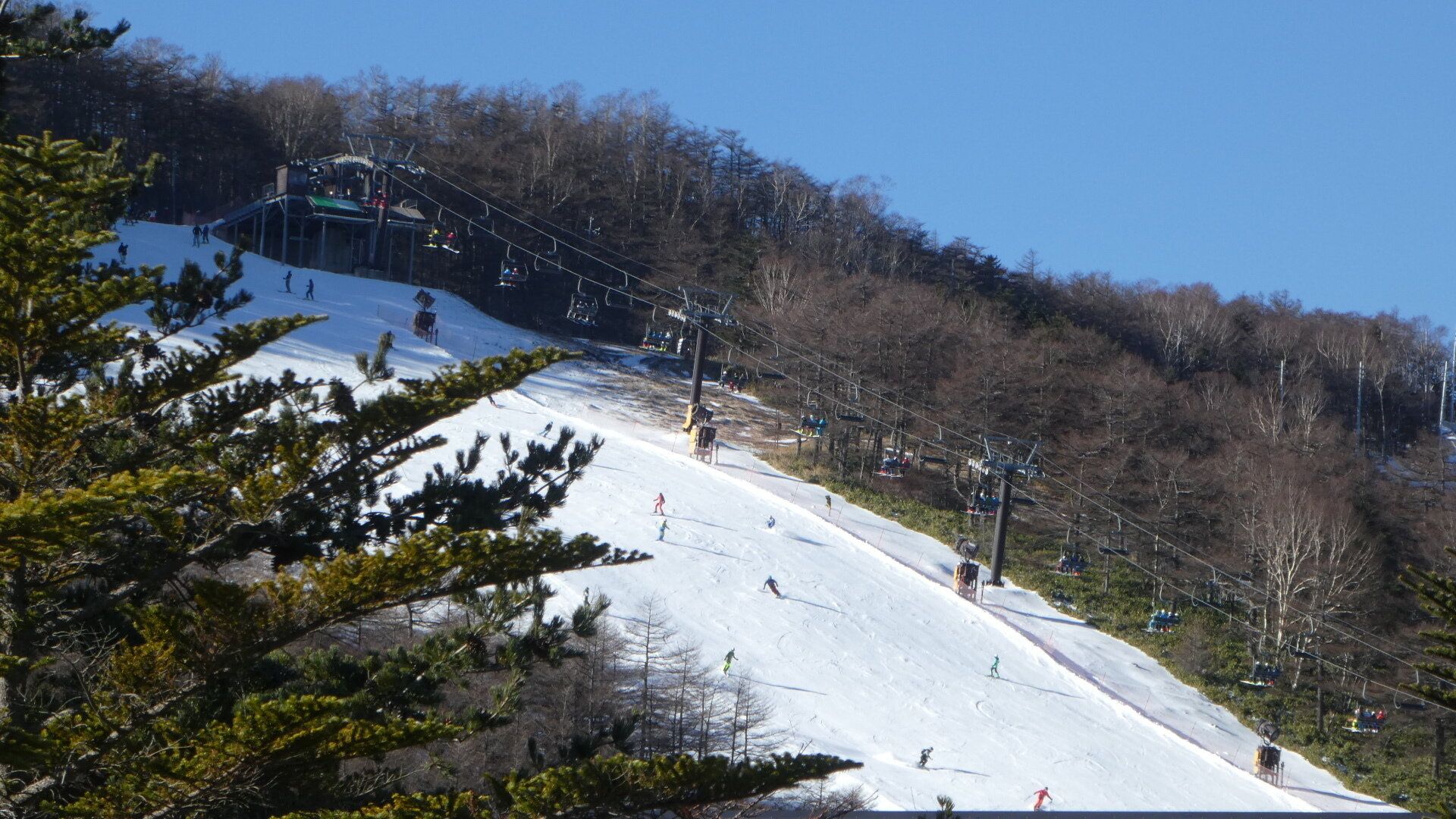 スキー場だけじゃなかった！誰もが無関係じゃない意外な「暖冬の影響」を気象予報士が解説