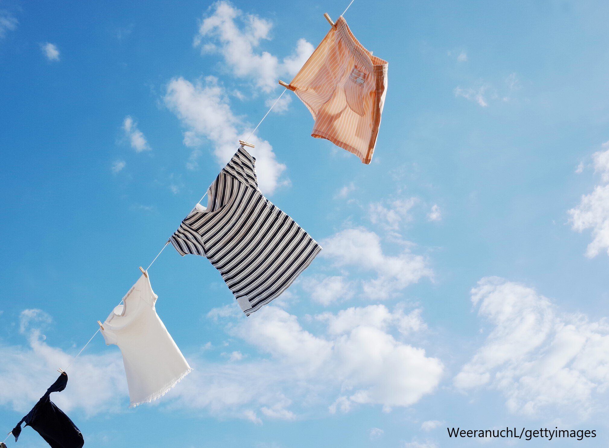 【花粉シーズン】最大の侵入経路は洗濯物じゃない！家族ぐるみで花粉対策すべき理由とは