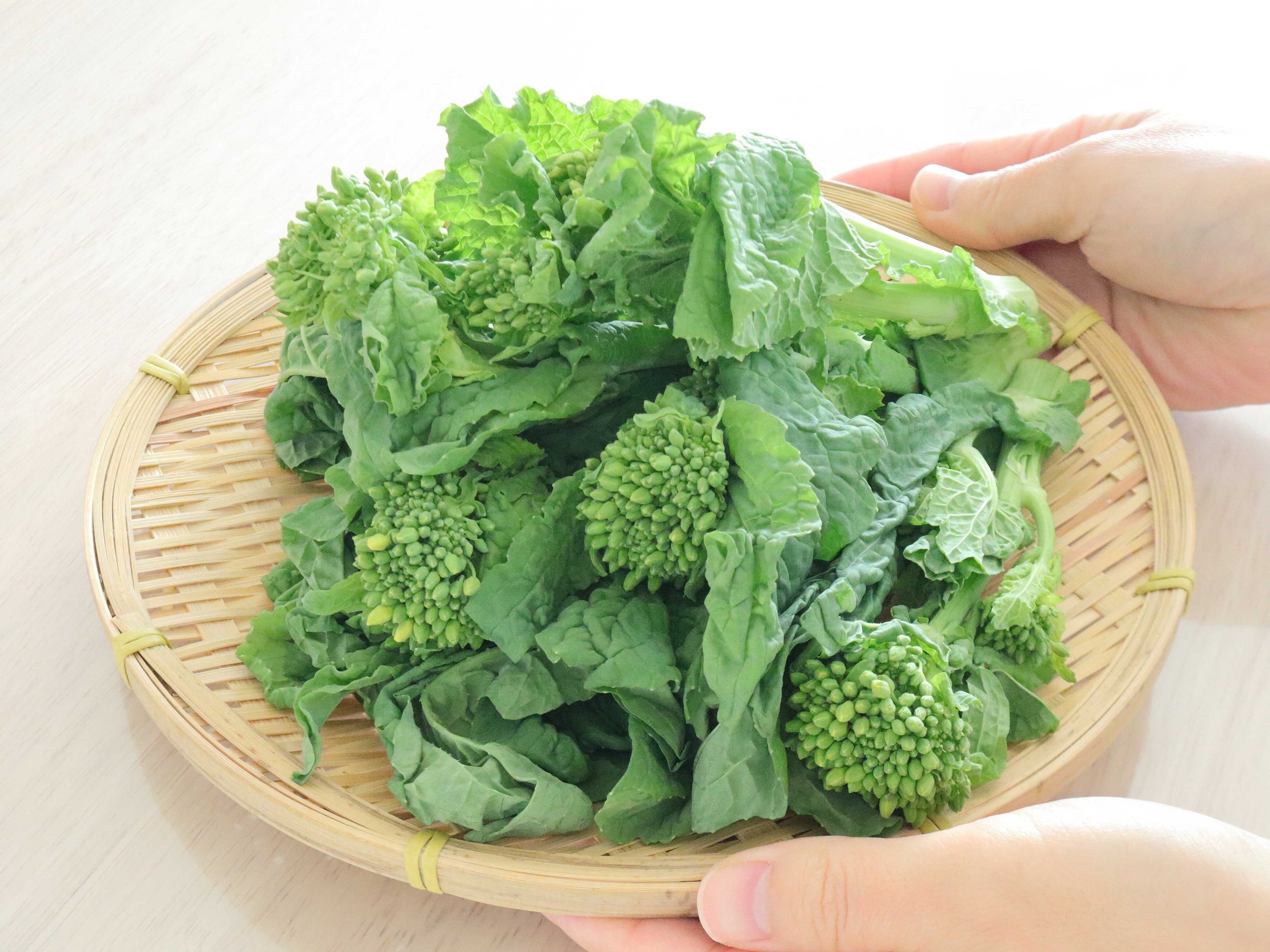 やらなきゃもったいない！旬の「菜花」を主役で食べる春色おかずレシピ