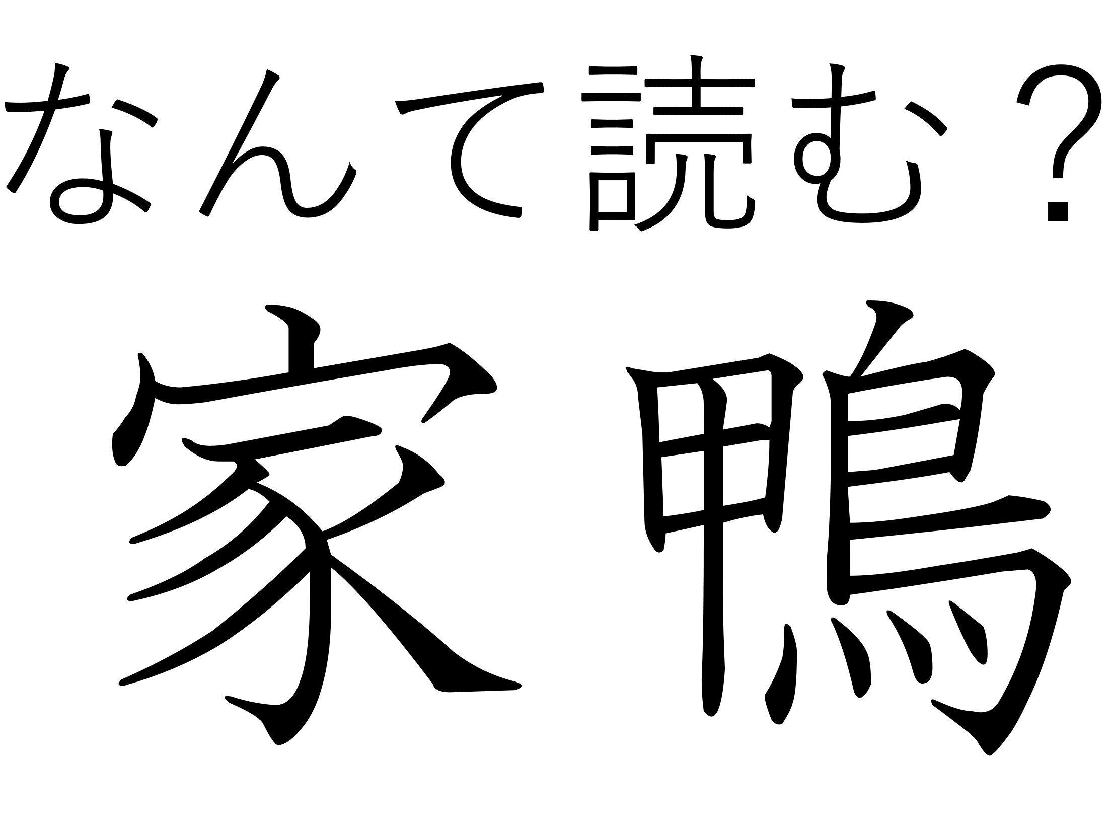 おもちゃの中から見つかるかも！難読漢字「家鴨」はなんて読む？