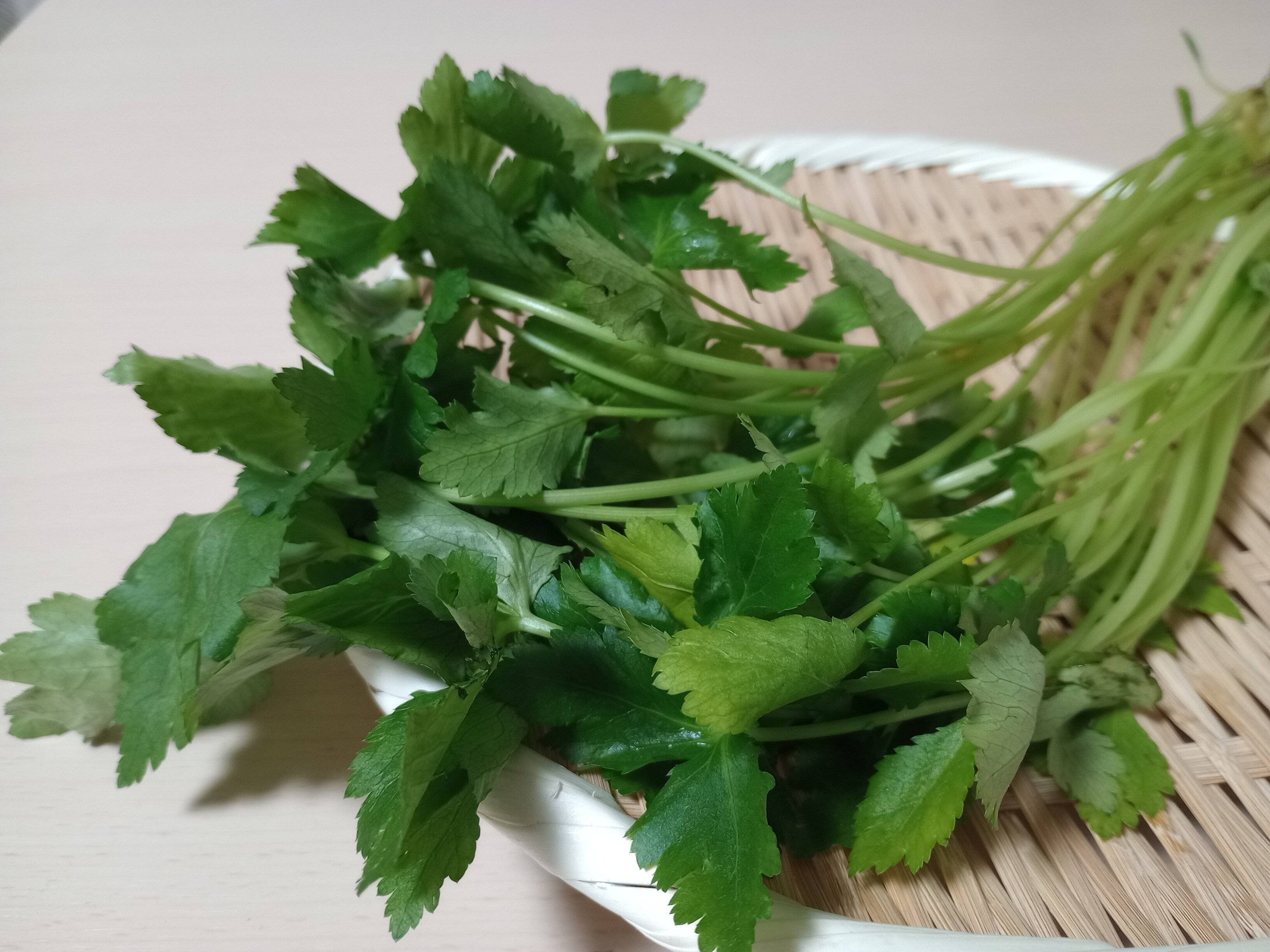 野菜ソムリエ直伝！じつは相性はバッチリな「豚バラ」と「三つ葉」！塩だけでモリモリ食べられる即完成の肉おかず