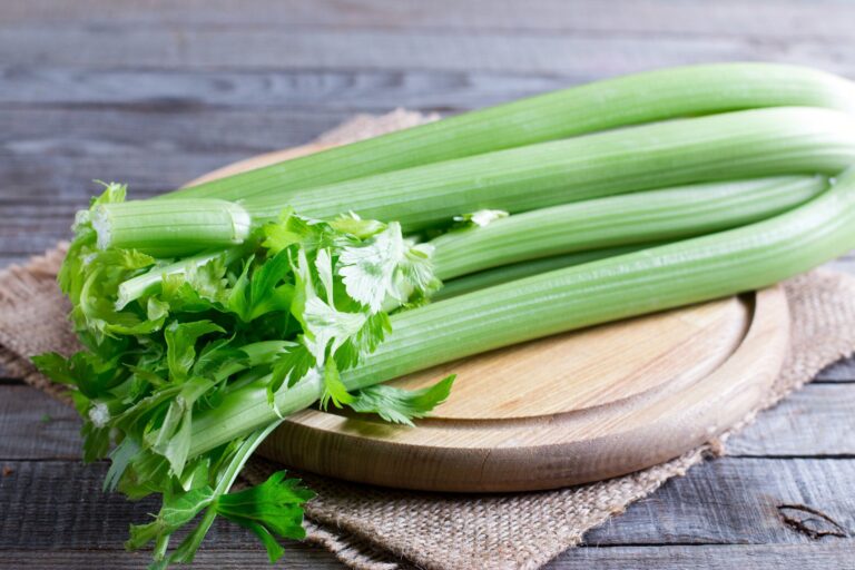【旬食材】セロリは「でこぼこ」と「なめらか」どっちを選ぶ？野菜ソムリエが解説