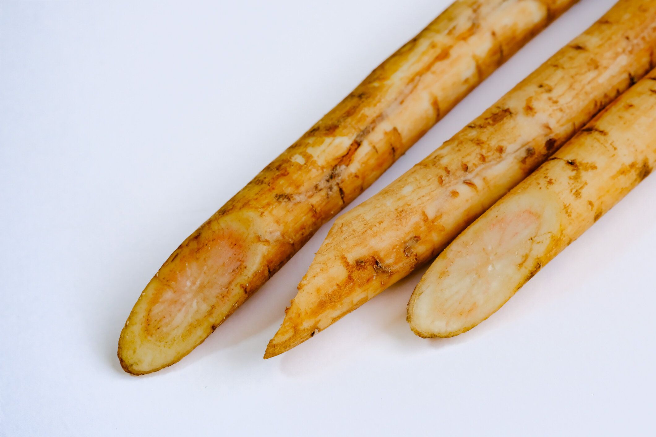 【旬食材】秋冬のごぼうと何が違う？失敗しない新ごぼうの選びかたを野菜ソムリエが解説