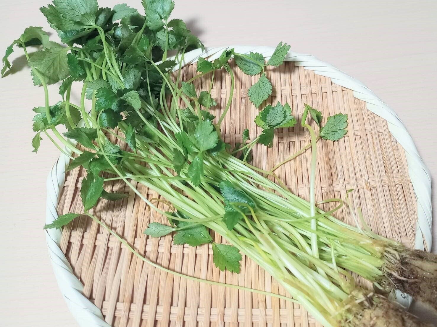 【旬食材】じつは1種類じゃない！おいしい「三つ葉」の見分けかたを種類ごとに野菜ソムリエが解説