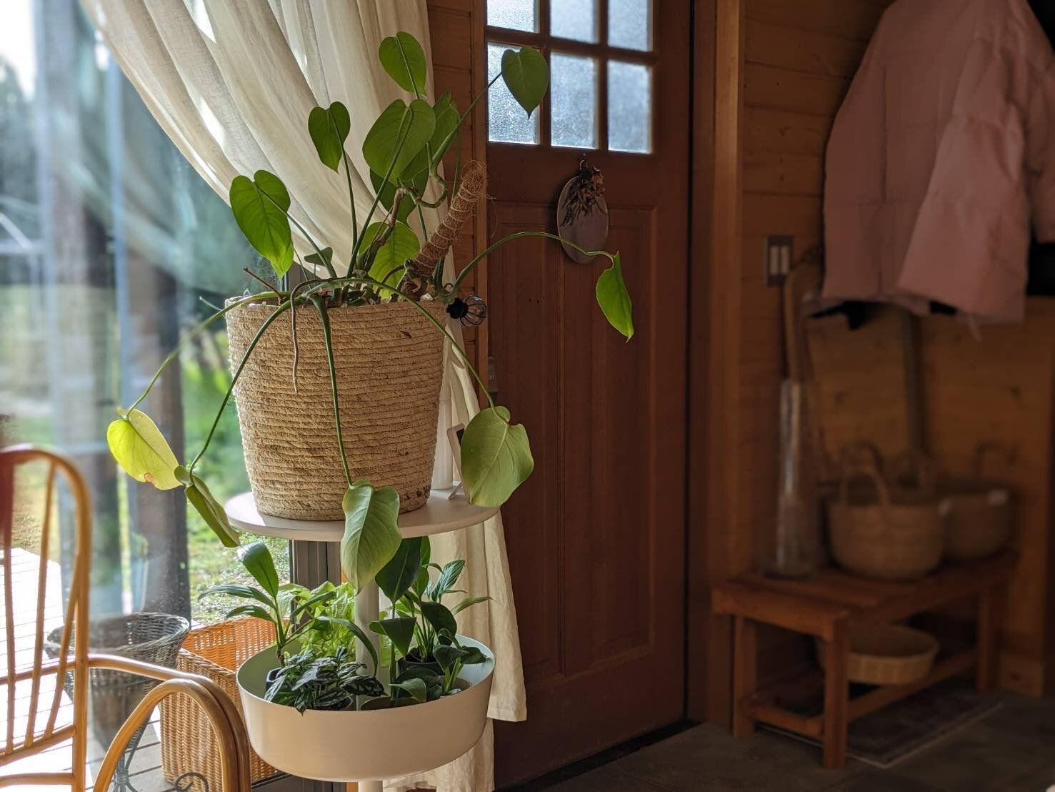 【暮らしの見直し】“小さな幸せの積み重ね“お金をかけないご機嫌な暮らし