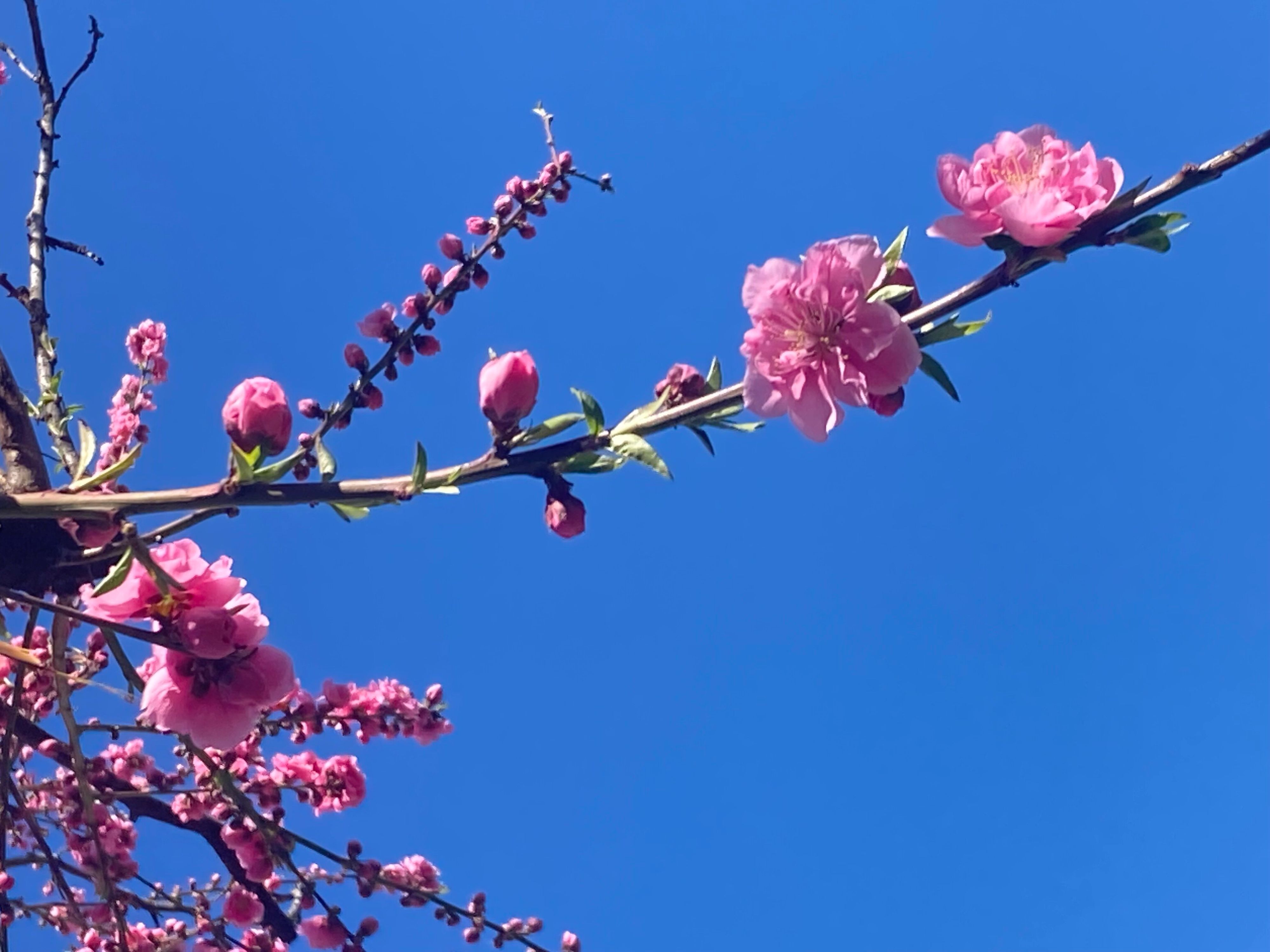 気をつけて！40代主婦がおちいりがちな春家事の失敗と対処法