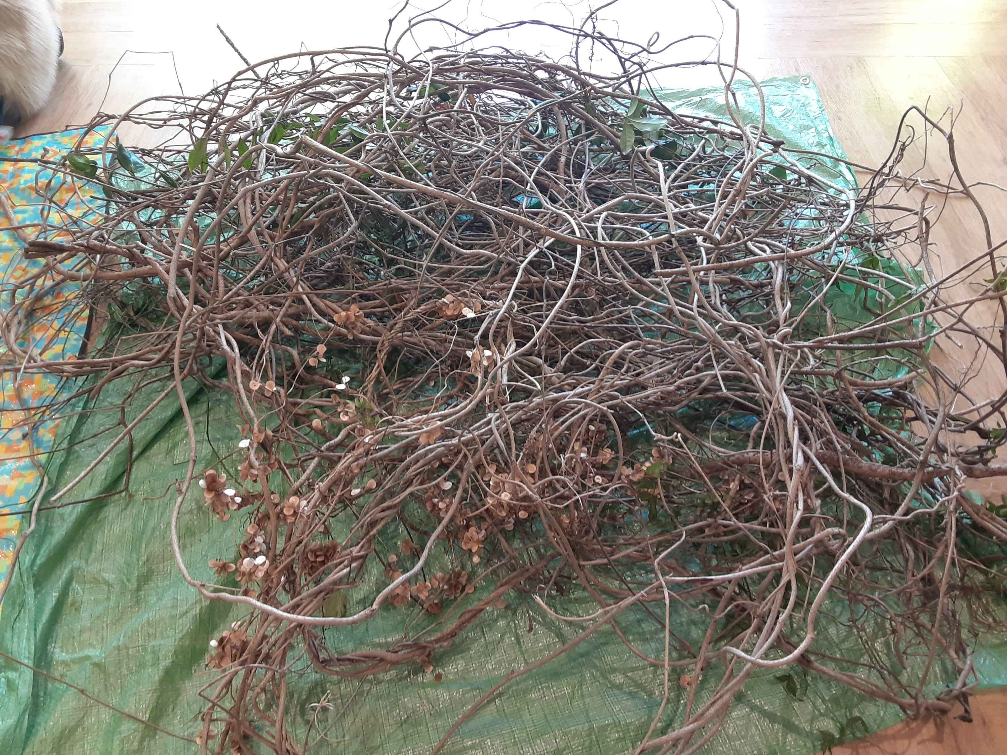 編んで、編んで、幸福感が上がる！？