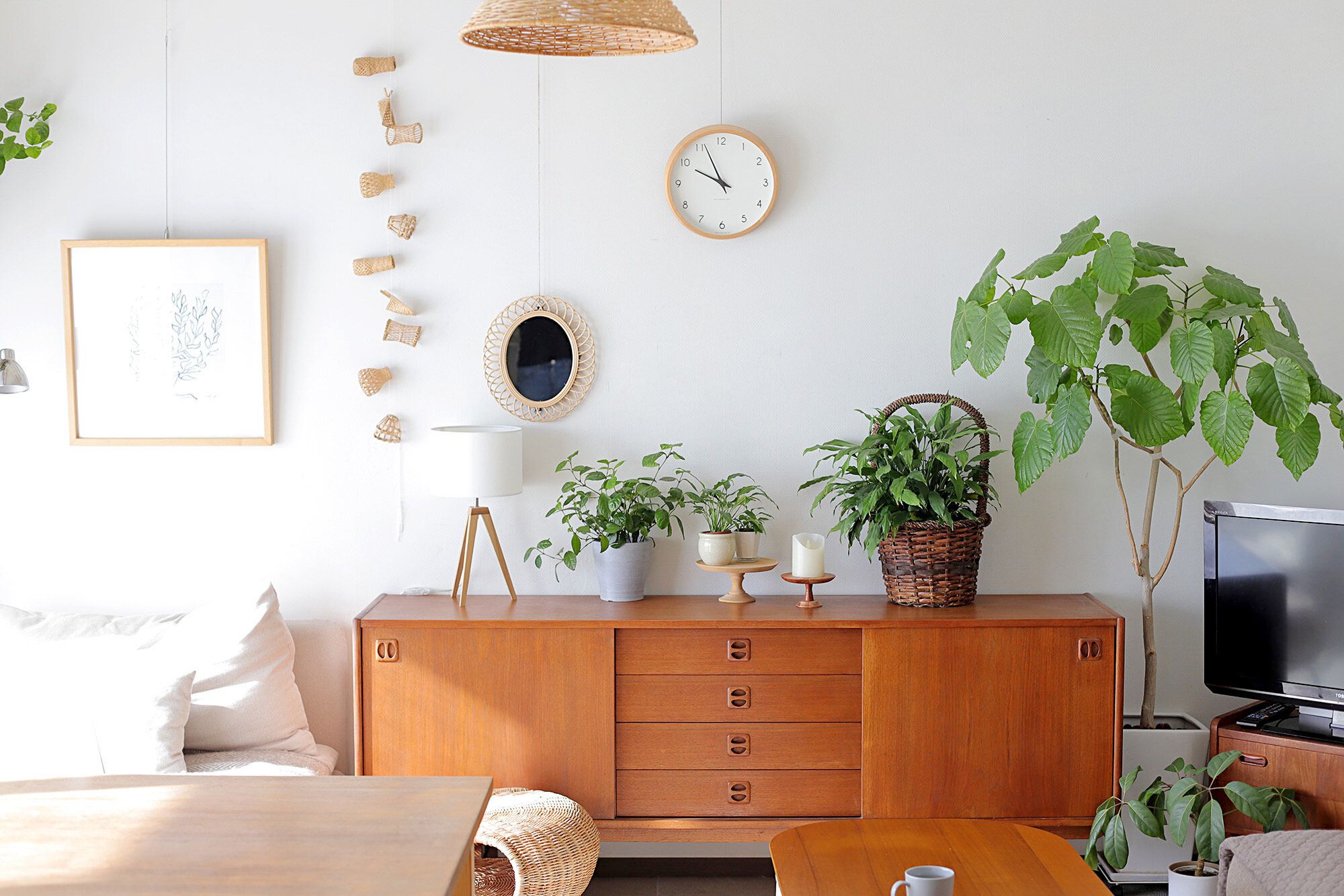 【インテリア】たったこれだけ！観葉植物をオシャレに飾る3つのコツ