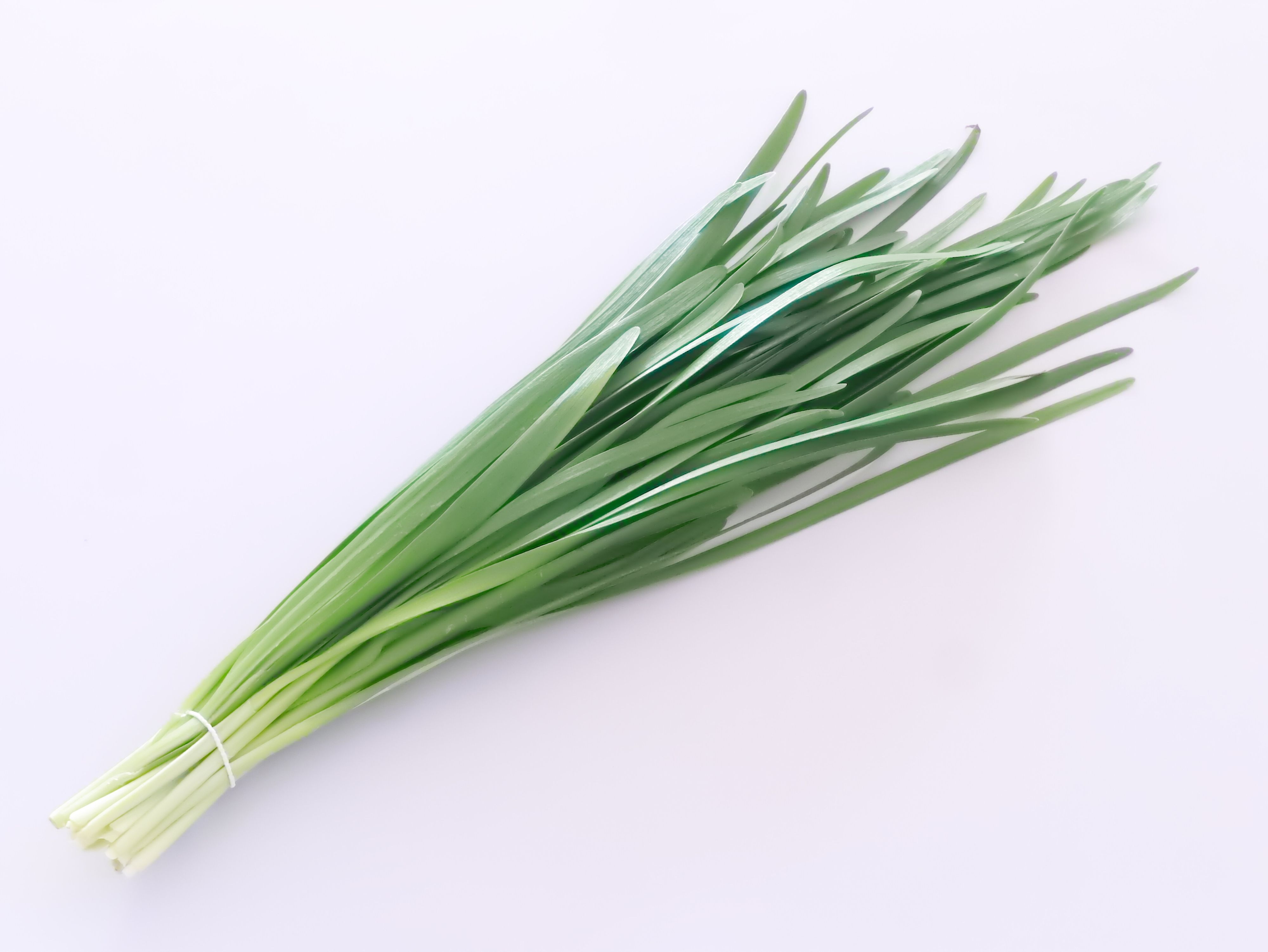 いましか食べられない「一番刈りのニラ」を見分けるコツは”1cm”に注目すること！