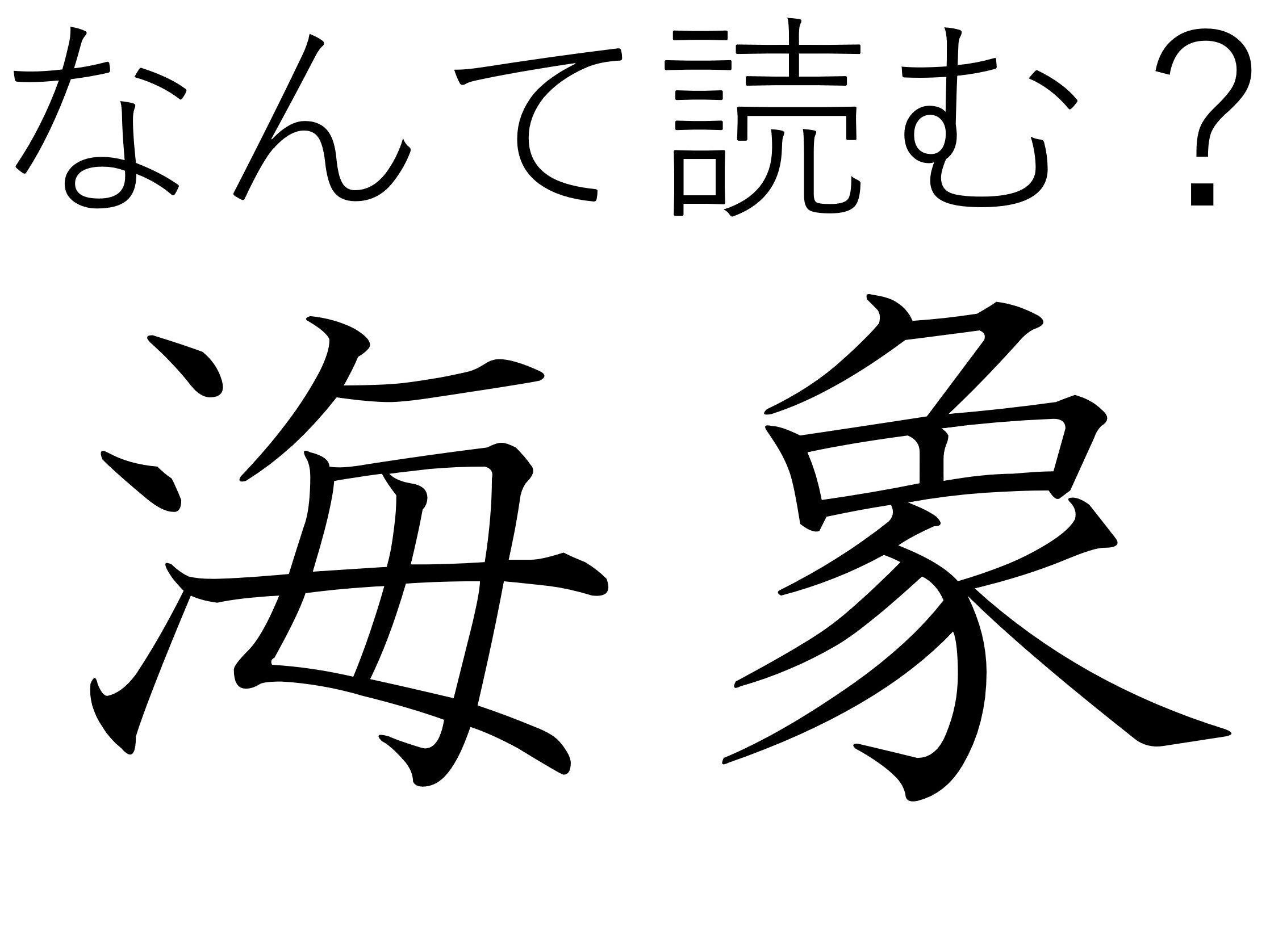 いわれてみるとちょっと似ている！難読漢字クイズ「海象」はなんて読む？