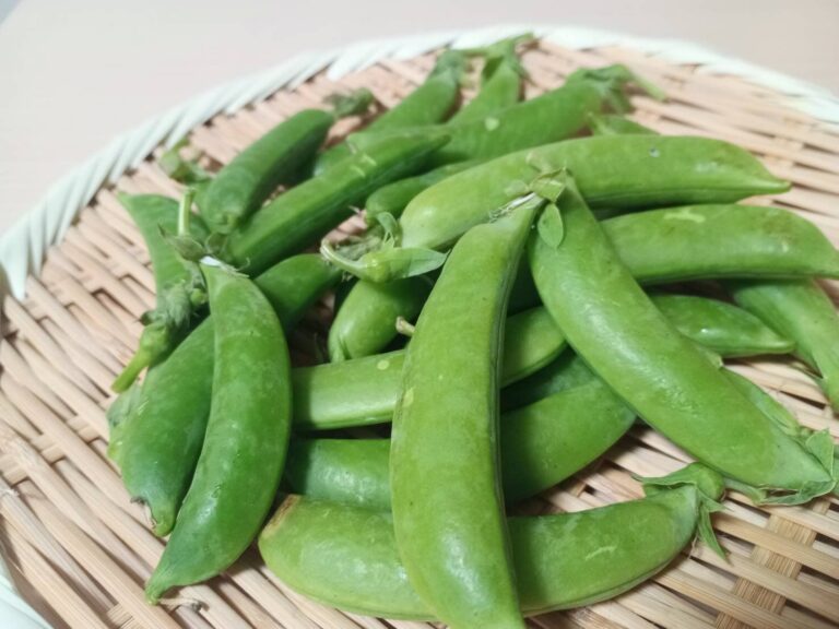 やらなきゃもったいない！スナップエンドウの栄養を逃さない&すぐ完成する春色おかずを野菜ソムリエが解説