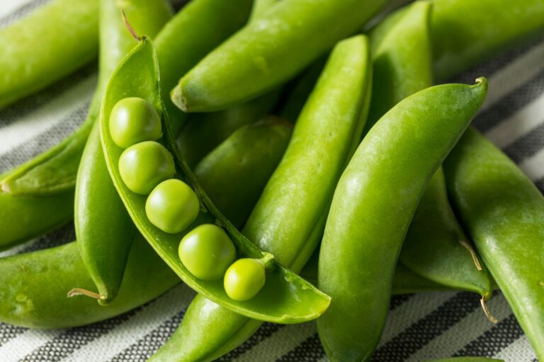 【旬食材】端から端まで確認して！おいしいスナップエンドウの見分け方は？野菜ソムリエ解説